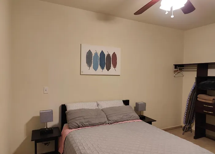 Departamento Y